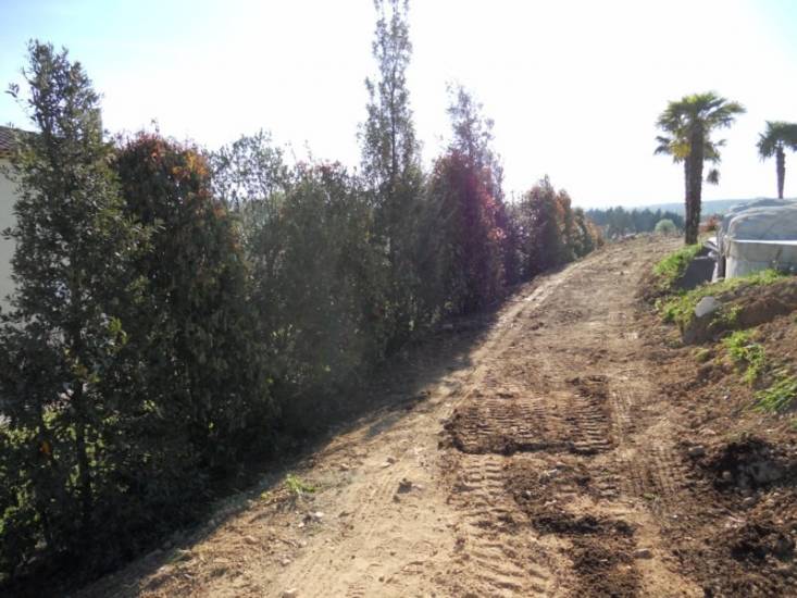 Plantation d'une Haie mixte par le paysagiste de Fuveau.